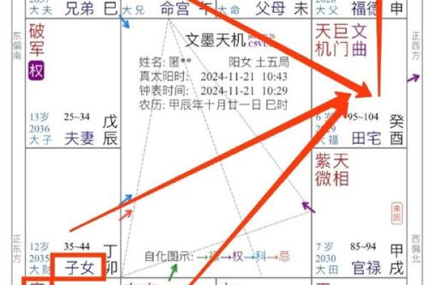 玄空飞星与紫微斗数的关系探讨