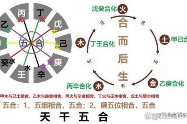 郑字五行属性解析及其对命理的影响