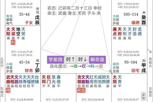 紫薇命解析：探索命理学中的紫薇星座与人生轨迹