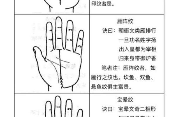 爪子纹手相解析：揭示你的性格与命运走向