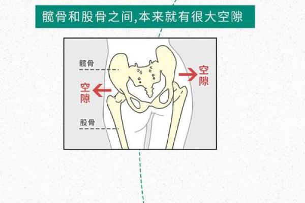 臀痣相与命运解读：不同臀部痣的位置暗示着什么人生走向