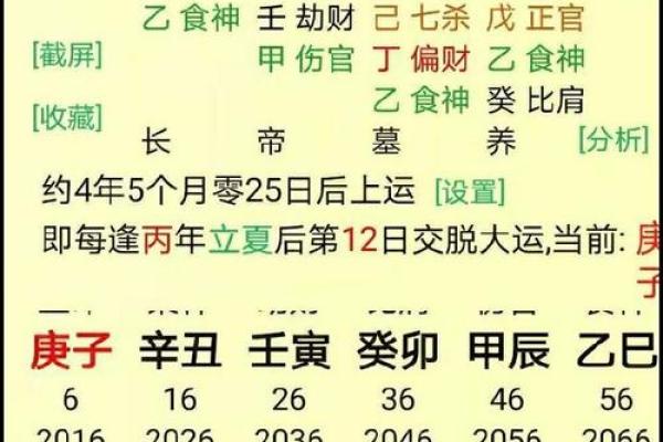 八字排盘下载资源大全，轻松分析命运