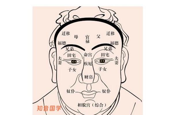 女星面相分析：如何通过面部特征解读人生轨迹