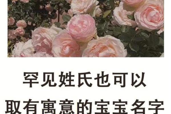 姓唐的宝宝如何起个既好听又有文化底蕴的名字