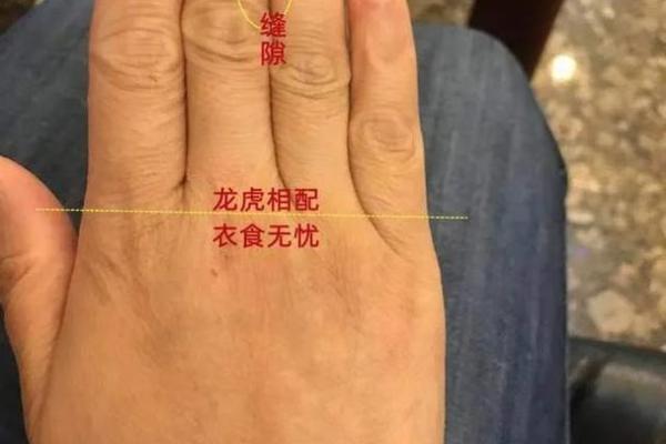 离婚后的女人手相：掌纹暗示的情感新机遇