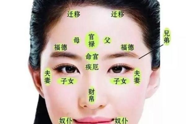 面相学分析：鼻子的不同特征与人生运势的关系