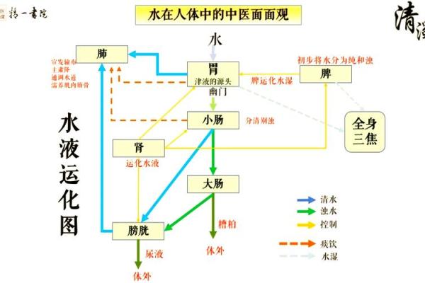 探索人体工程与风水结合的奥秘