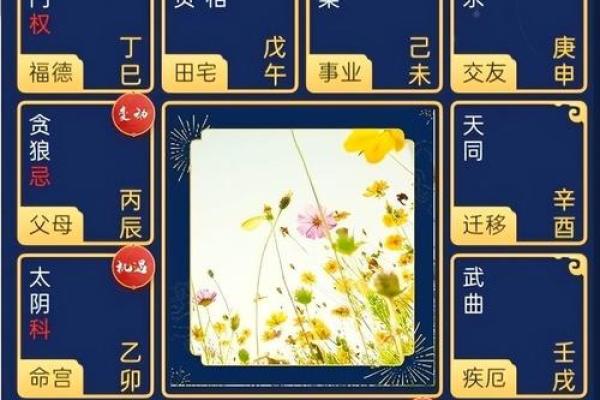 跟随陈剑掌握紫微排盘技巧，开启个人命运新篇章