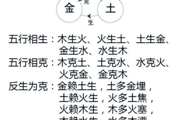 月份天干属性的神秘力量，揭秘命运背后的五行密码