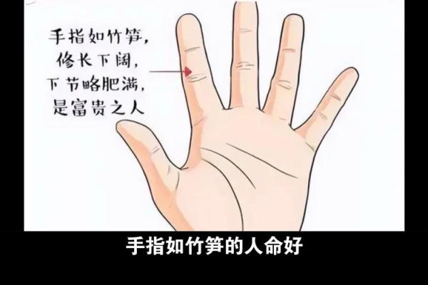 手相揭秘：劳碌命与富贵命的神奇奥秘
