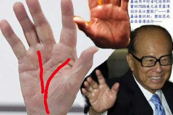 手相揭秘：创业者的命运指南，你命中注定适合创业吗？