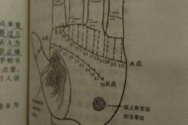 面相揭秘：手面相流年，揭秘你的运势起伏