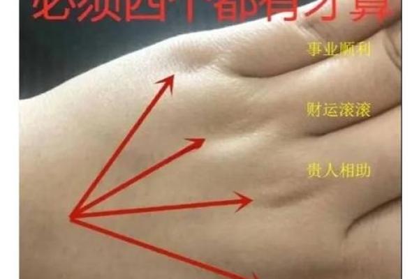 手相揭秘：揭秘你的事业线，财运亨通的秘密武器