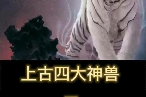 白虎八字在命运中的重要作用，你真的知道吗？