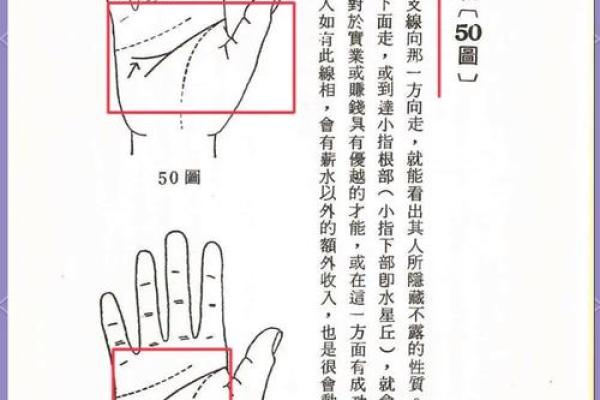 手相奥秘大揭秘：掌中藏富贵，指尖现命运