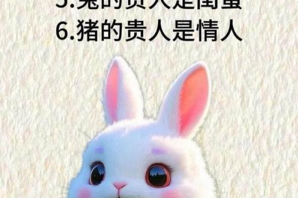 属兔配属牛，天生一对？速来揭秘