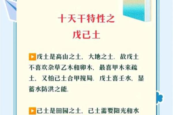 深度解析天干，揭示命运的无形力量