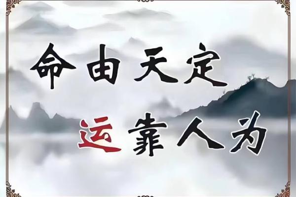 八字命理预测：如何利用八字掌控你的命运