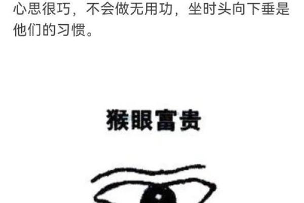 揭秘：女人面相中的眼，透露着怎样的命运秘密？
