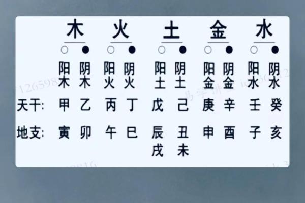 天干地支一目了然，快速掌握命理运势