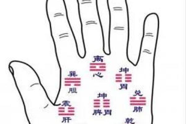 手掌痣相揭秘：右手掌痣的运势与命运