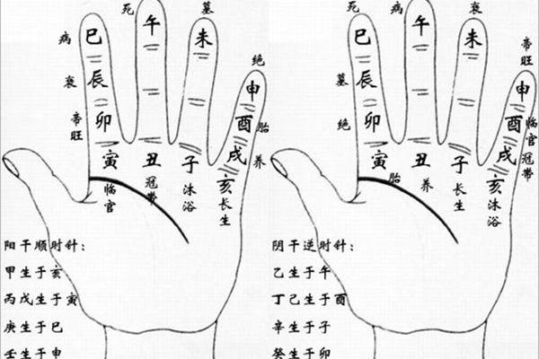 命运的钥匙：十天干如何通过十二宫影响人生