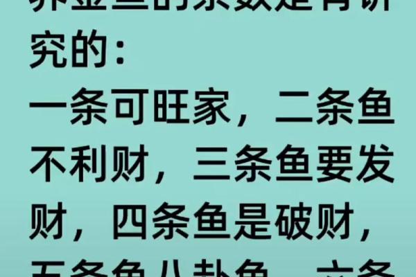 风水秘籍：养鱼数量揭秘，助你运势亨通