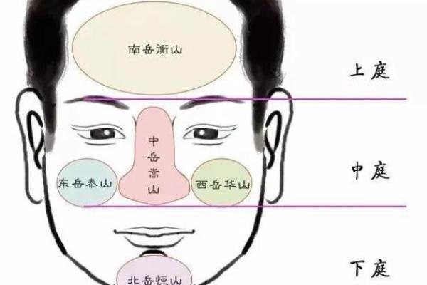 揭秘面相秘籍：从侧面看脸型，洞察命运奥秘