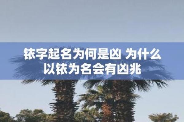 物业公司起名测凶吉，揭开名字背后的运势玄机