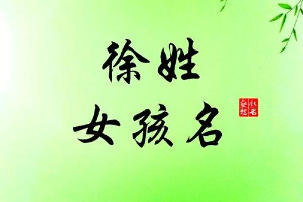 徐子如何起名更吉利