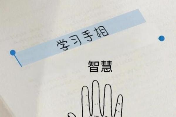 掌中暗藏升官命揭秘手相中的官运之谜