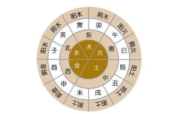 十二地支与五行的完美契合：了解如何影响你的财富与健康