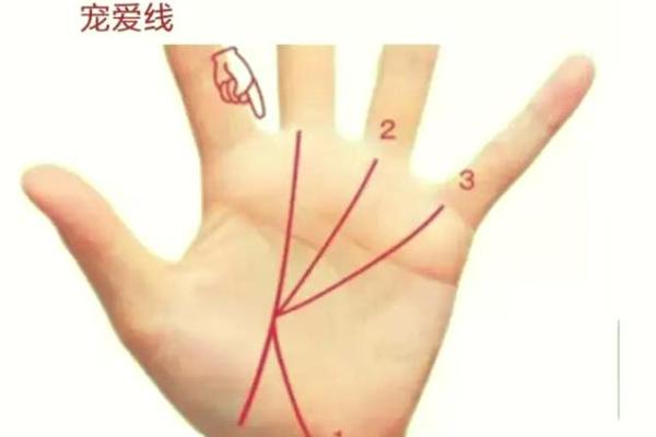 小鸟眼揭秘：揭秘你的命运密码