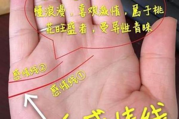 手相婚姻线旁神秘圆圈揭秘：揭秘爱情运势的神秘力量