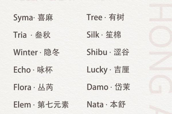成功的国际品牌从名字开始
