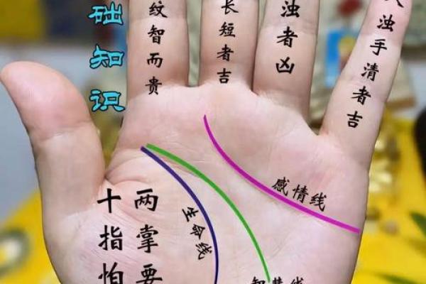 手相秘籍大公开：揭秘手指间的命运密码