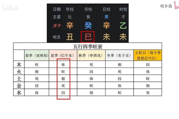 逆袭命运，八字从旺格的隐藏财富与事业密码