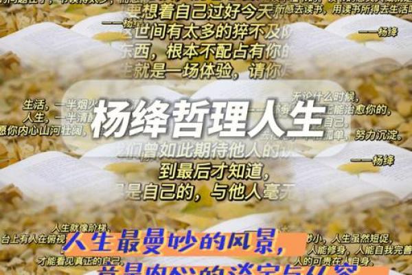 时命的含义及其对人生的影响探讨