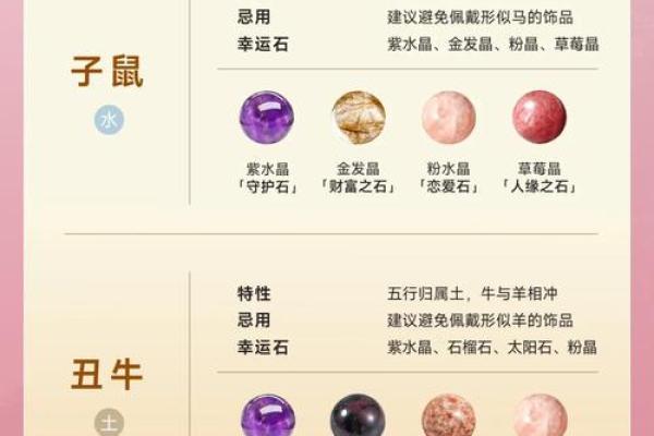 生肖琥珀之谜：揭秘十二生肖中的珍贵宝石