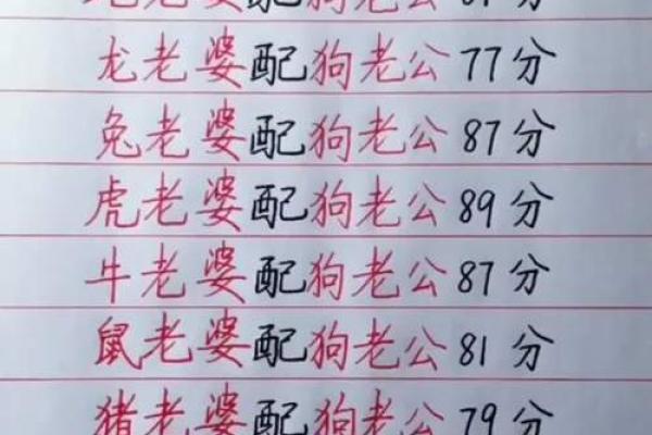 生肖揭秘：揭秘生肖丈夫的神秘魅力