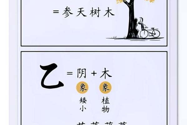 天干图腾：命理学中的无穷智慧
