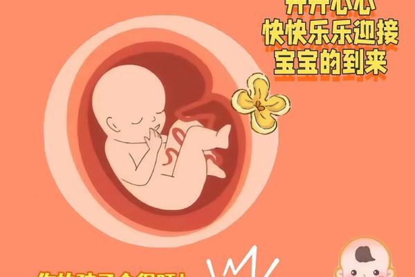 掌握新生儿八字，给宝宝一个更好的未来