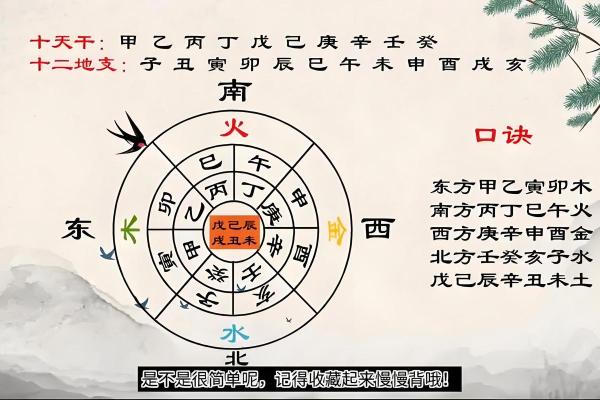 天干地支与五行的关系及其实际运用