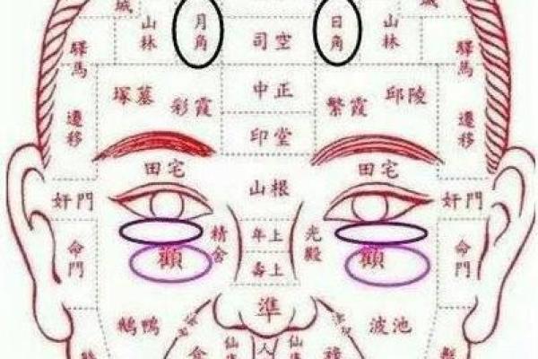 女人脸痣的神奇力量：麻衣神相教你识人辨命