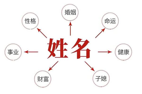 揭开美国生辰八字排盘的神秘面纱，解析命运奥秘