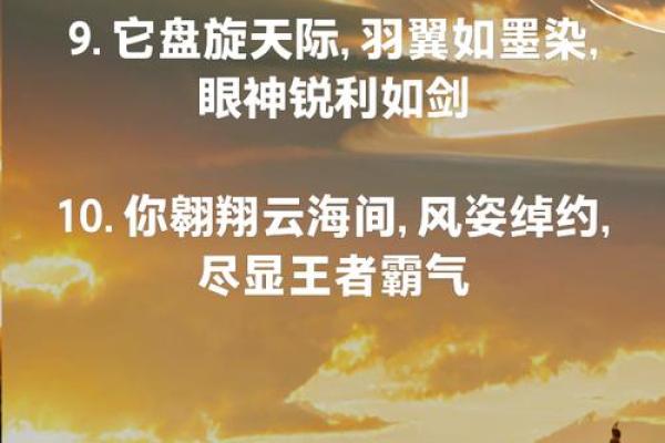 给鹰起名字的最佳灵感，做个飞翔王者