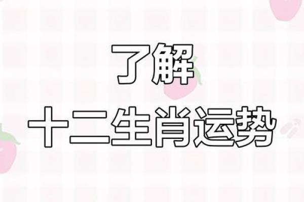 30岁，生肖运势大揭秘：揭秘你的运势转折点
