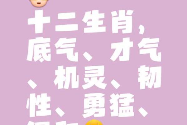 脚踏实地，生肖成就非凡人生之路