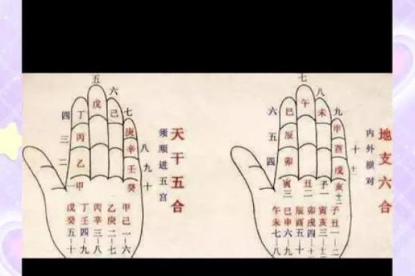 揭开十二天干与生肖之间的千年奥秘，重新认识自己！