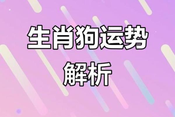 四九生肖大揭秘：揭秘你的生肖运势与秘密